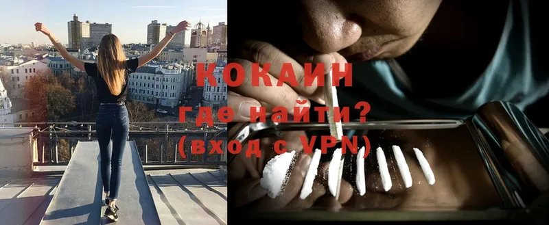 Cocaine Эквадор  mega зеркало  Алексин  как найти закладки 