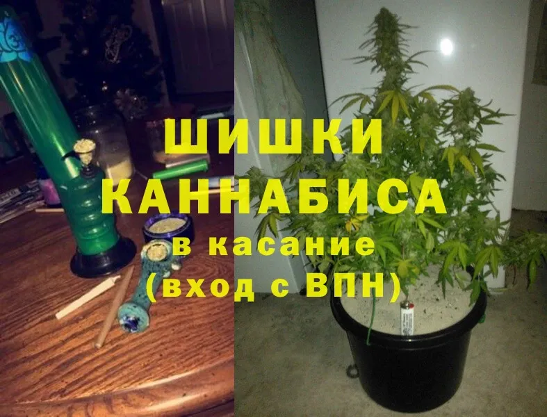 Бошки марихуана OG Kush  наркотики  Алексин 